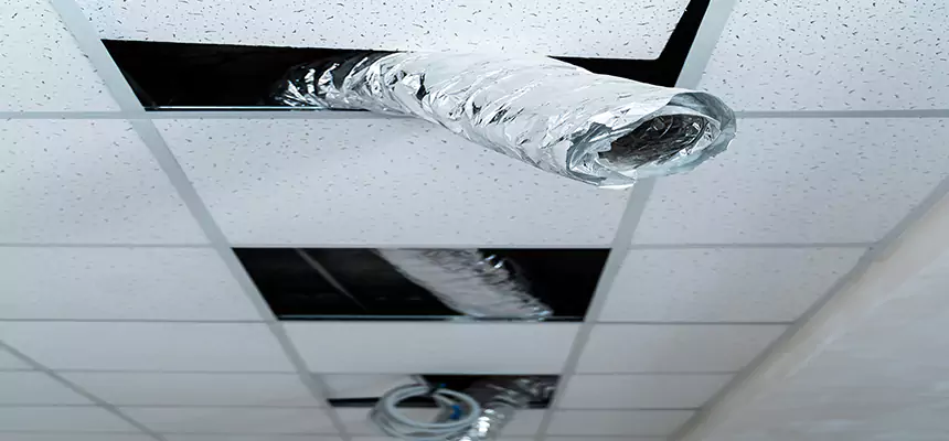 Our Air Duct Pet Hair Removal Services in North Canton, OH