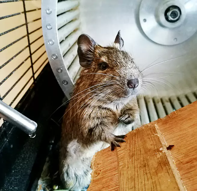 Why Homeowners & Businesses Trust Us North Canton, OH